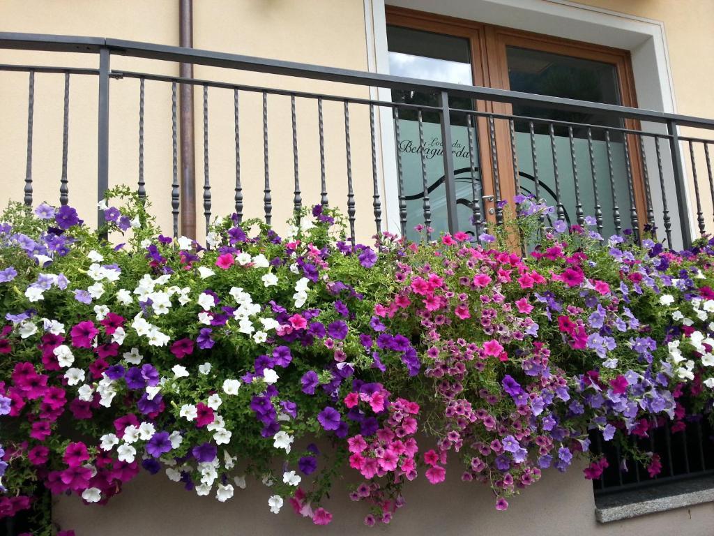 Bellaguarda Rooms 10Min Da Tirano Тово-ди-Сант'Агата Экстерьер фото